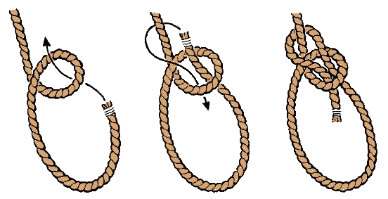 Knot-Bowline-Steps.png