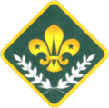 Chief Scout's Award.png