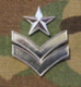 InsigniaPicture-M4.png