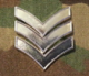 InsigniaPicture-M5.png