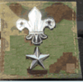 InsigniaPicture-O3.png